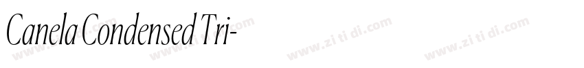 Canela Condensed Tri字体转换